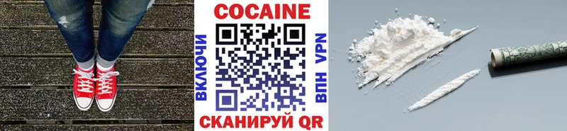 COCAIN Fish Scale  Купить закладки  Ставрополь 
